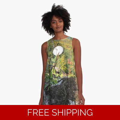 Le Studio A Line Dress Satellite Dish 2019